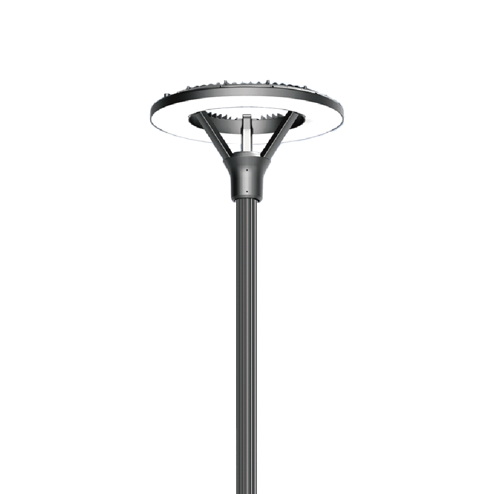 VSLL-06-2LED